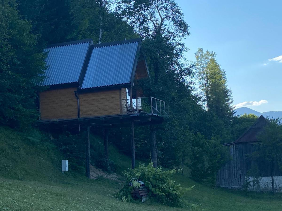 Tara Place - Camp Rabrenovic Mojkovac Exterior photo